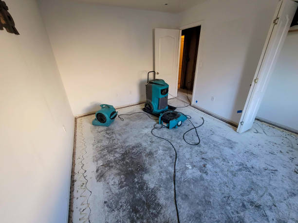 Best Carpet water damage restoration  in Fall Creek, WI