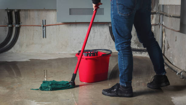 Best Professional water damage repair  in Fall Creek, WI