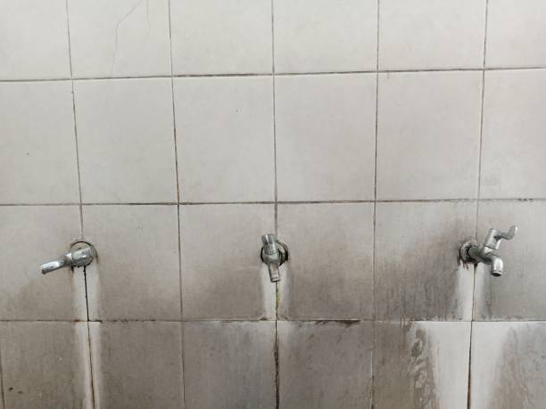 Best Water damage restoration near me  in Fall Creek, WI