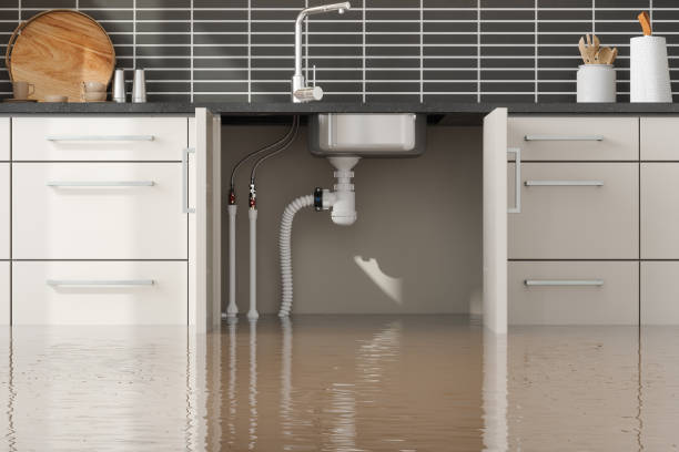 Best Commercial water damage restoration  in Fall Creek, WI